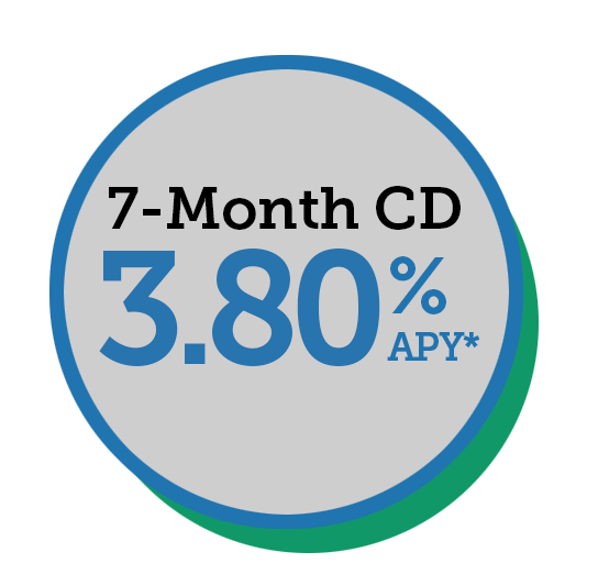 380-7-month-CD_Icon