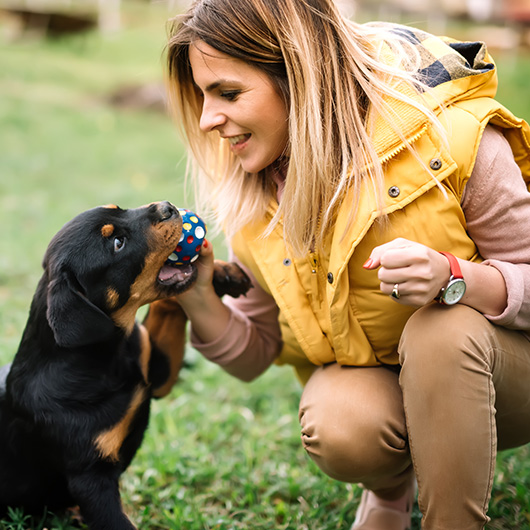 debt-consolidation-image-3